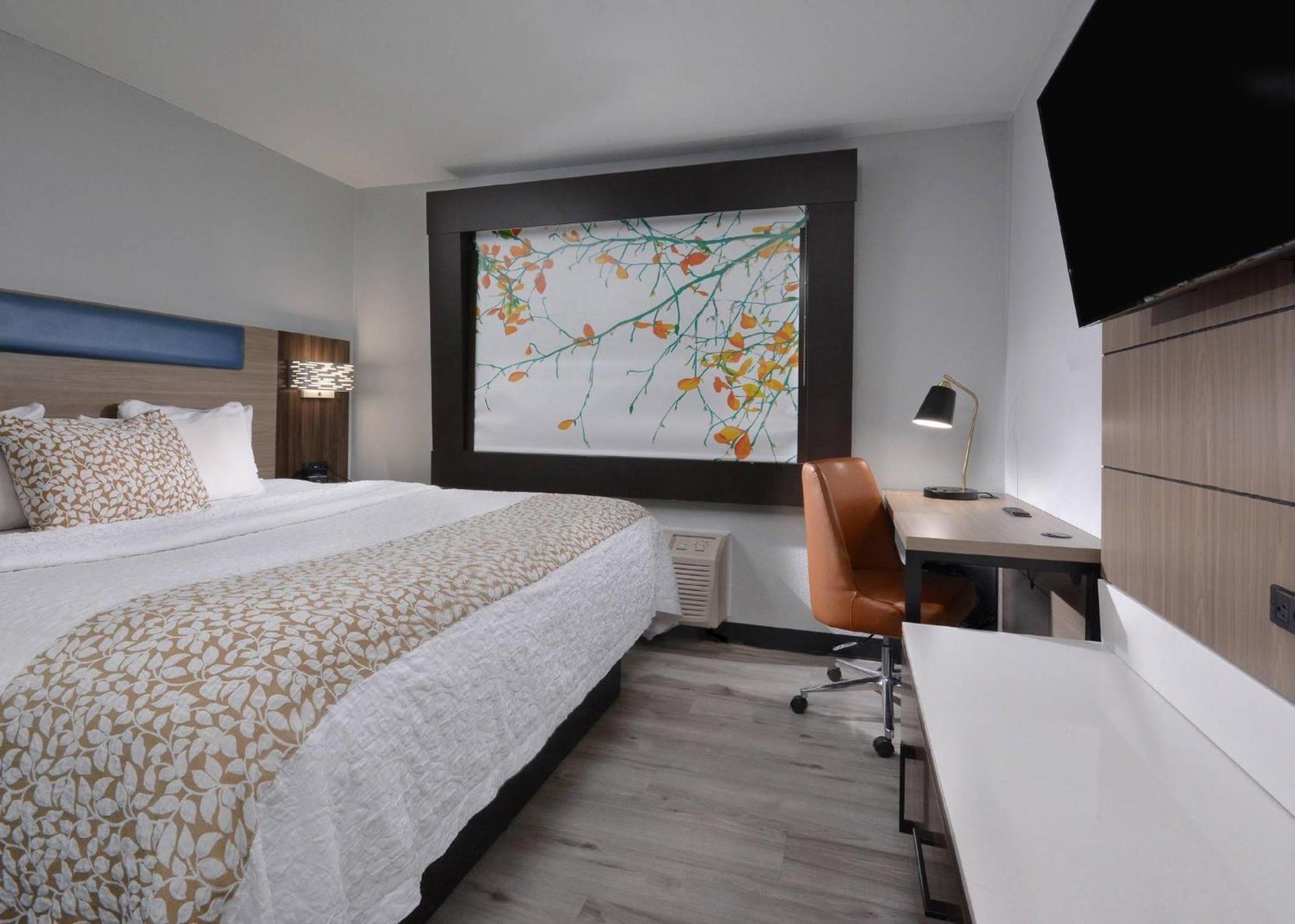 King Room - Non-Smoking,1730052242:JPEG