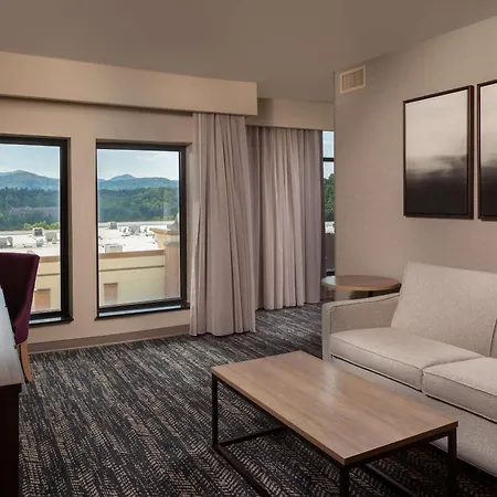 Hilton Asheville Biltmore Park-3