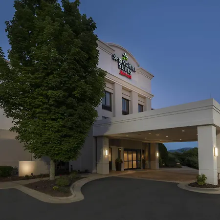 Springhill Suites Asheville-3