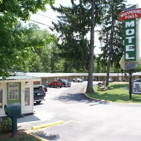 Whispering Pines Motel - Asheville-3