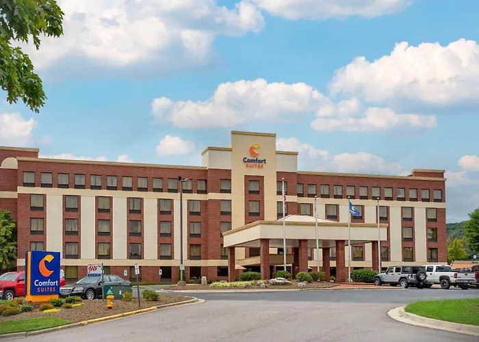 Comfort Suites Outlet Center Asheville